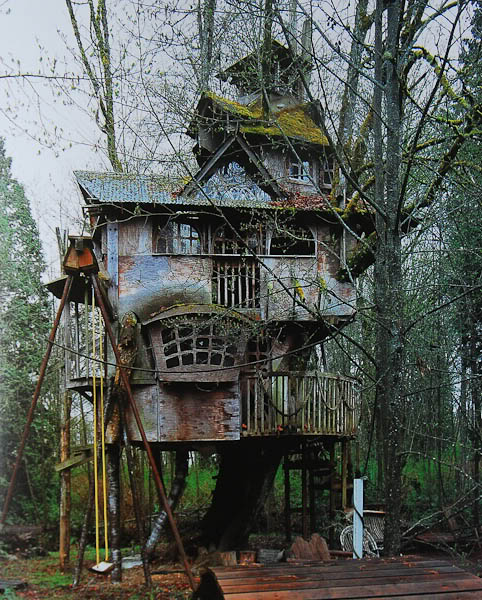 The Treehouse that Nobody Wanted