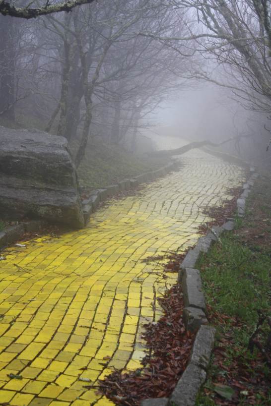 wizard of oz yellow brick road scene