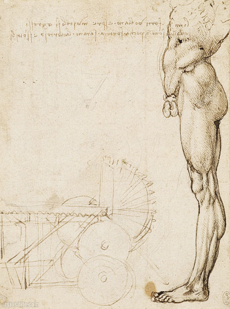 The Surprising Muses of Leonardo Da Vinci